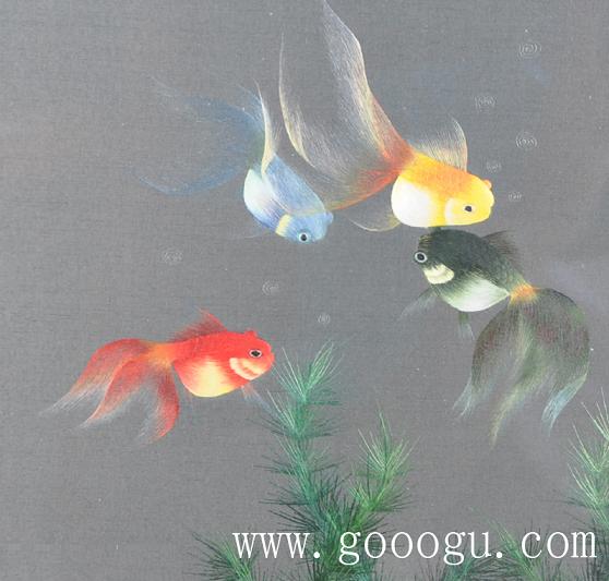 金魚自由自在的游動、展現(xiàn)出形態(tài)優(yōu)美的舞姿！